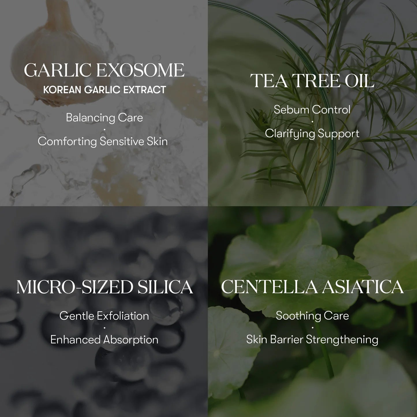 Garlic AC Reedle Shot Point Patch